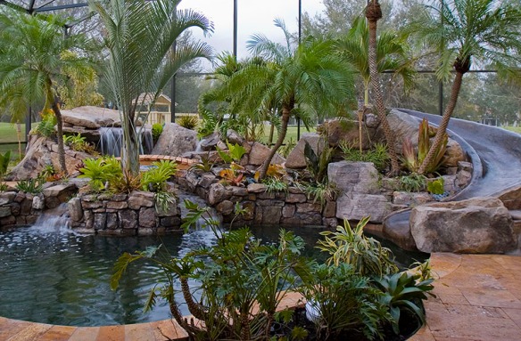 Landscaping Around Swimming Pools With Tropical Plants In Sarasota Florida Near Bradenton Fl Designed Outdoor Living - Tropical Plants For Around Pool Florida